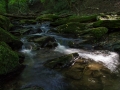 Ehrbachklamm